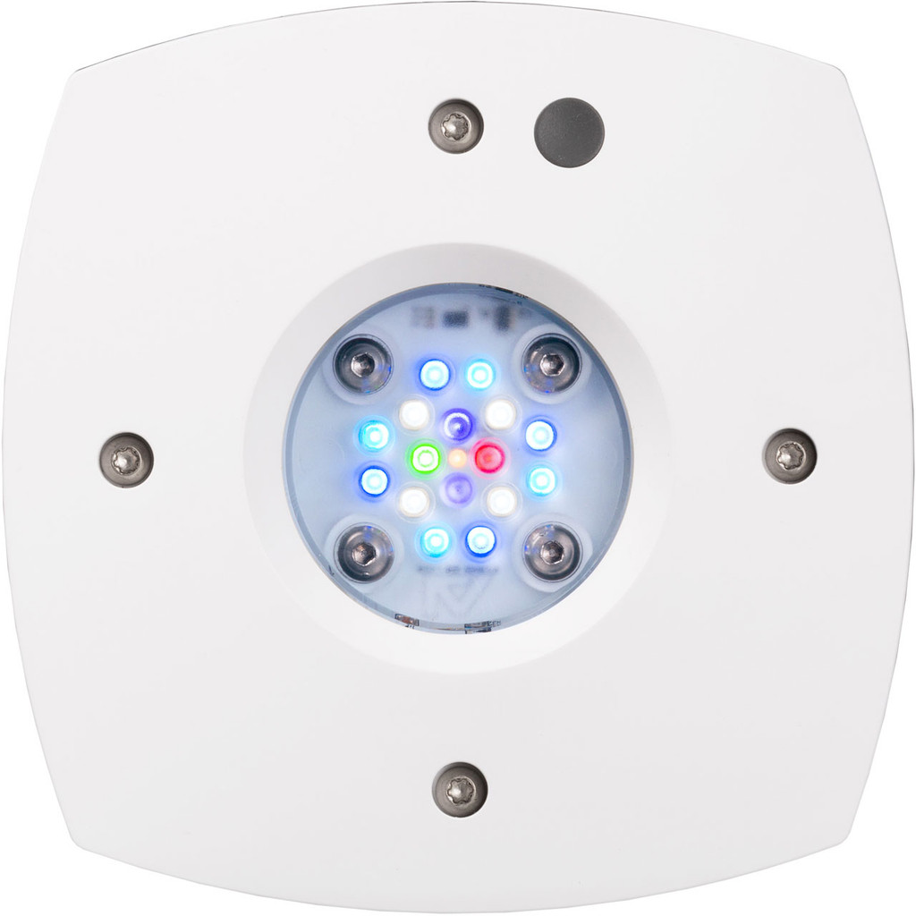 ai-prime-16-hd-led-module-white-body-bottom-view__74658.webp