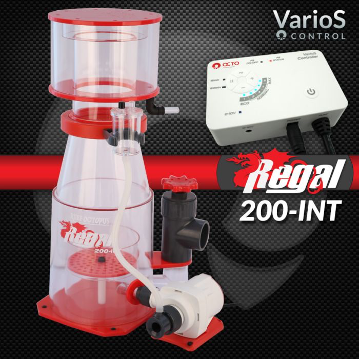 regal200int_2.webp