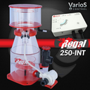 regal250int_2.webp