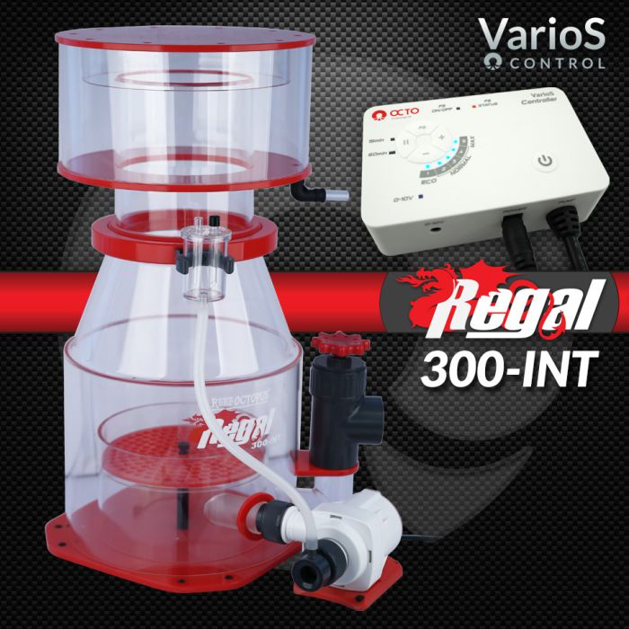 regal300int_1.webp