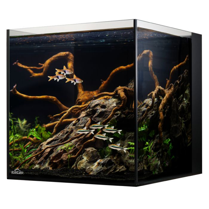 ic_aiocube_freshwatersetup_1.webp
