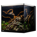 ic_aiocube_freshwatersetup_1.webp