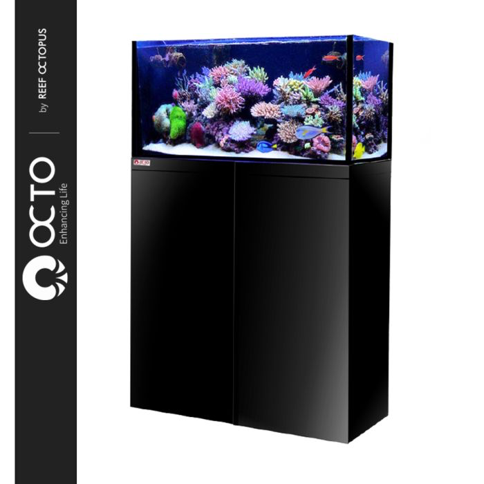 octoblackstand_1.webp