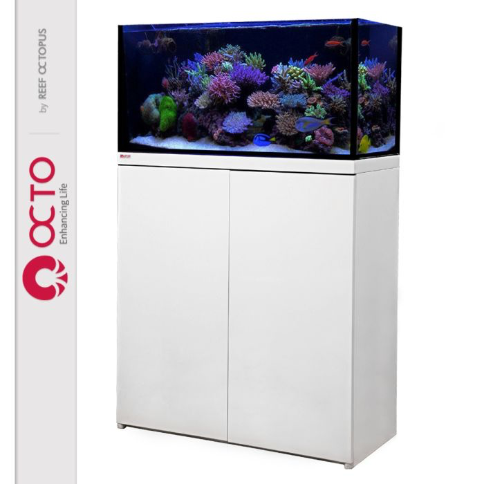 octowhitestand_1.webp