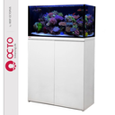octowhitestand_1.webp