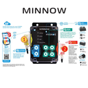minnowbreakdown.webp